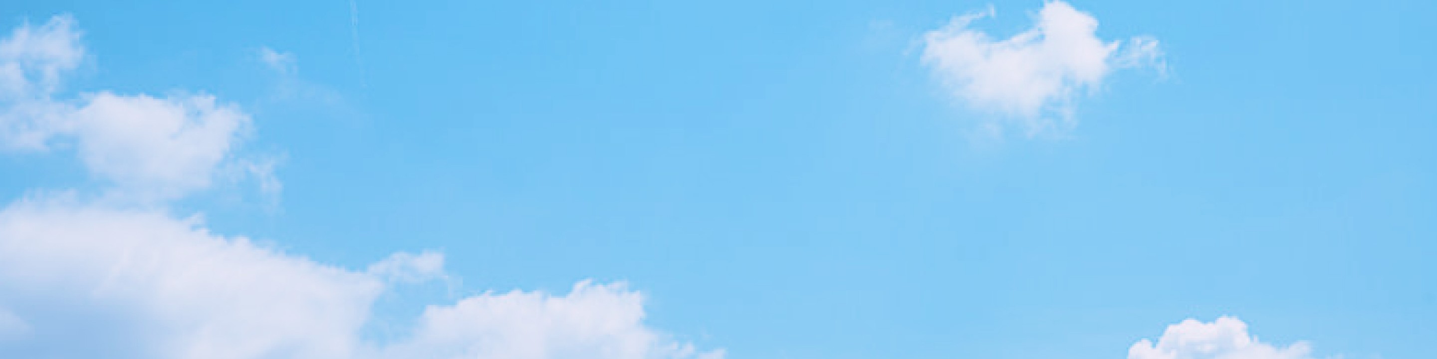 株式会社にこについて